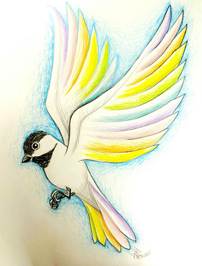 Rainbow Chickadee